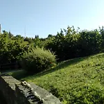 Ca Tinola Mango