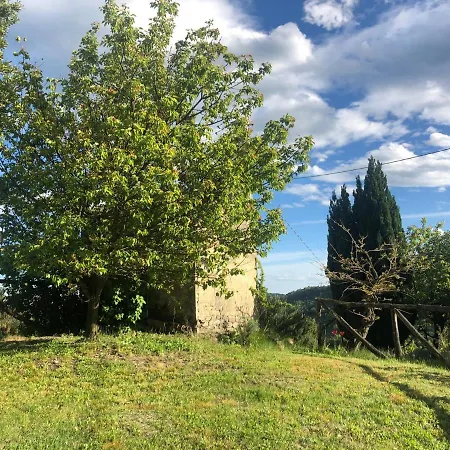 Ca Tinola Gæstehus Mango