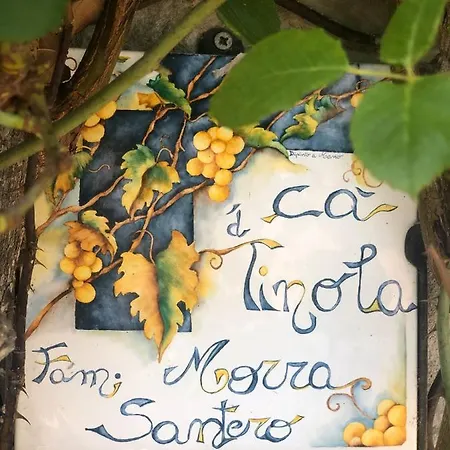 Ca Tinola 招待所 Mango