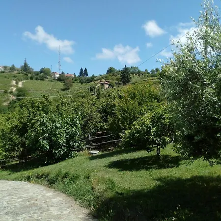 Ca Tinola