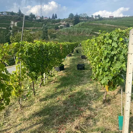 Ca Tinola