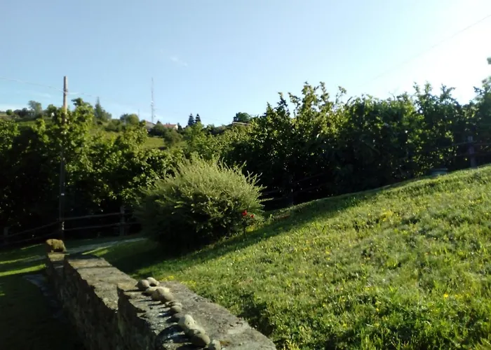 Ca Tinola Манго