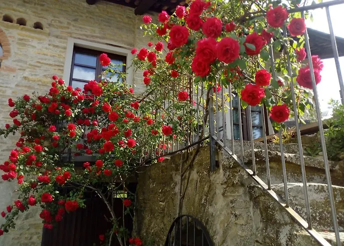 Ca Tinola 3* Манго